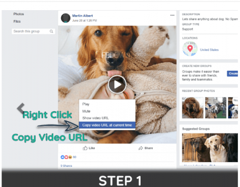 download private video from facebook online