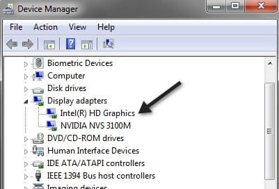 After Device Manager opens then expand the Display Adapters category