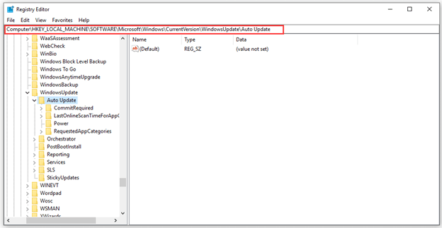 auto update key in HKEY-local-machine